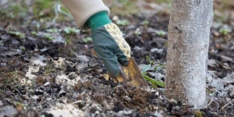 5 Vrsta gnojiva koje je najbolje primijeniti u jesen